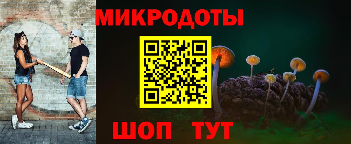 Новозыбков  Псилоцибиновые грибы мицелий  Галлюциногенные грибы ЛСД  Вход с VPN 