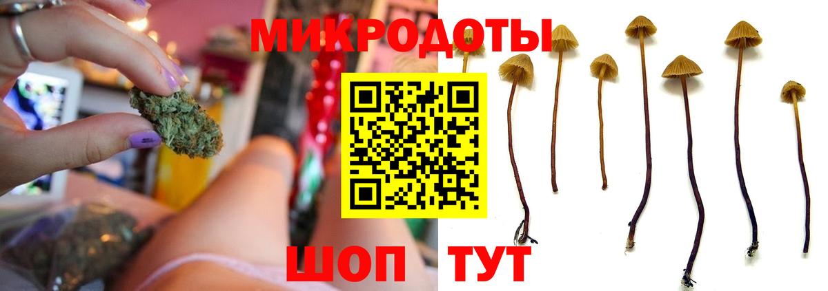 Псилоцибиновые грибы прущие грибы Новозыбков